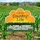 Country Life Easy Iron 25 mg Capsules 90's