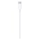 Apple USB-C To Lightning Cable 1m