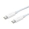 APPLE THUNDERBOLT CABLE0.5 M