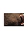 Sphagnum Peat Moss Black High Water Retention Organic Soil Enhancer 1.5kg