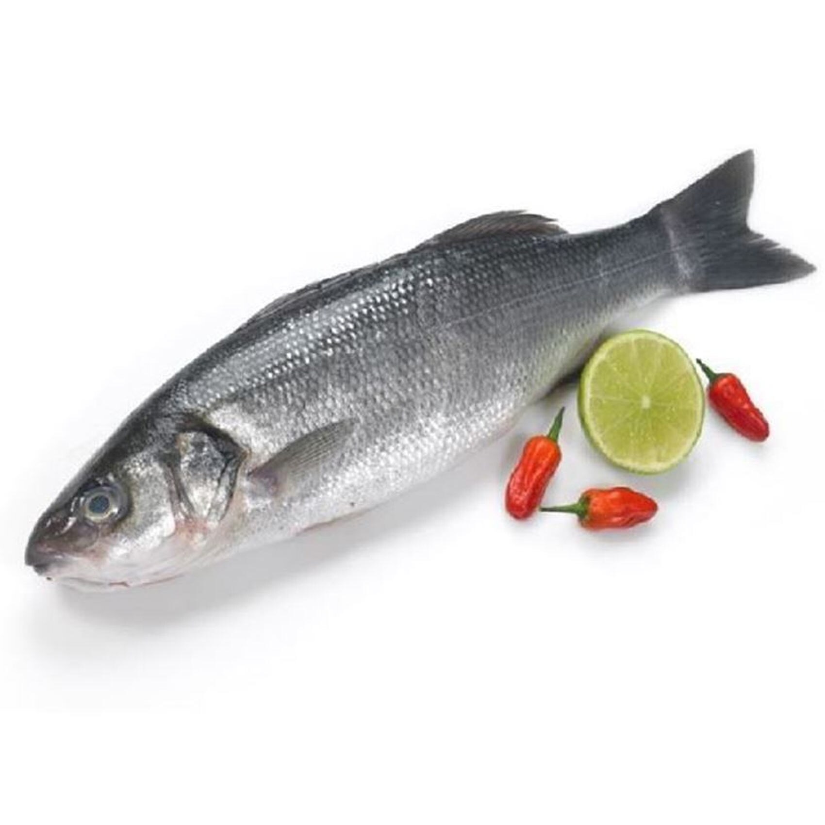 Lout Fish Middle East product thumbnail 2