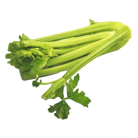 Celery Stick 400G