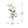 StickieArt - Cape Jasmine Wall Decal - Medium - 50 x 70 cm - STA-127