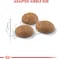 Royal Canin FHN Outdoor 2 kg Feline Breed Nutrition Cat Food