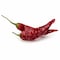 STONE RED PEPPER