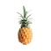 Costarica Pineapple