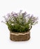 Dream Decor Decorative Artificial Flower Plant