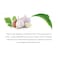 Vatika Natural Hai Growth Shampoo Garlic 400ml