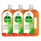 Dettol Antibacterial Antiseptic Disinfectant Solution Liquid 2L Pack of 3