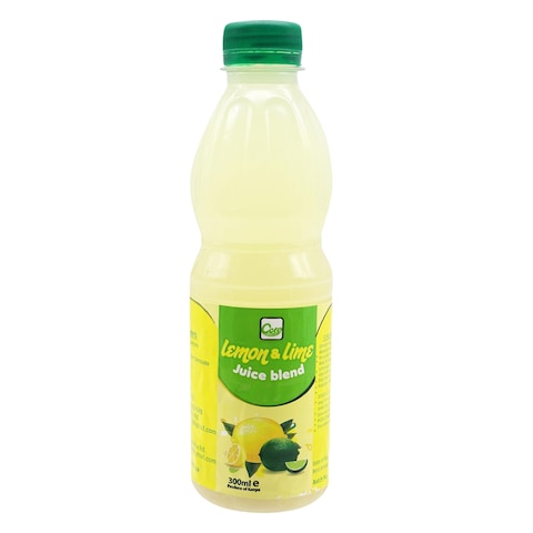 Core Lemon And Lime Blend Juice 300Ml