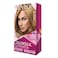 Revlon Colorsilk Luminista Hair Color 175 Medium Blonde