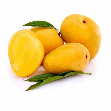 Hindi Mango