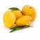 Hindi Mango