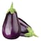 Big Egg Plant
