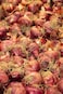 Red Onions
