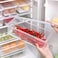 Food Storage Container Space Saver Refrigerator Organizer with Removable Drain Tray 2pc (2.5L/pc)