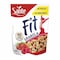 Sante Fit Strawberry and Raspberry Granola - 300 gram