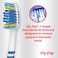 Colgate Zigzag Plus Tootbrush