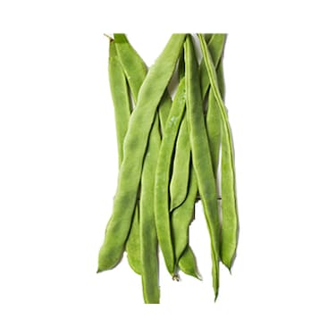 Runner Beans (Loubieh)