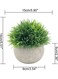 Generic 3-Piece Artificial Plants Set Grey/Green
