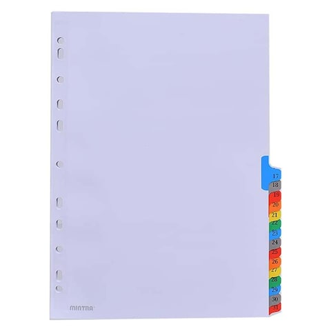 Mintra Mylar Dividers - 1-31