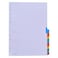 Mintra Mylar Dividers - 1-31
