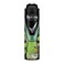 Rexona Men Body Spray Mint Cool And Cedarwood 150ml