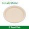 EcoShine   100% Natural, Biodegradable, Compostable, Ecofriendly, Safe &amp; Hygienic Disposable Bagasse Plate 9-INCH Round (Pack of 250 plates)