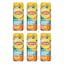 315ML X6
