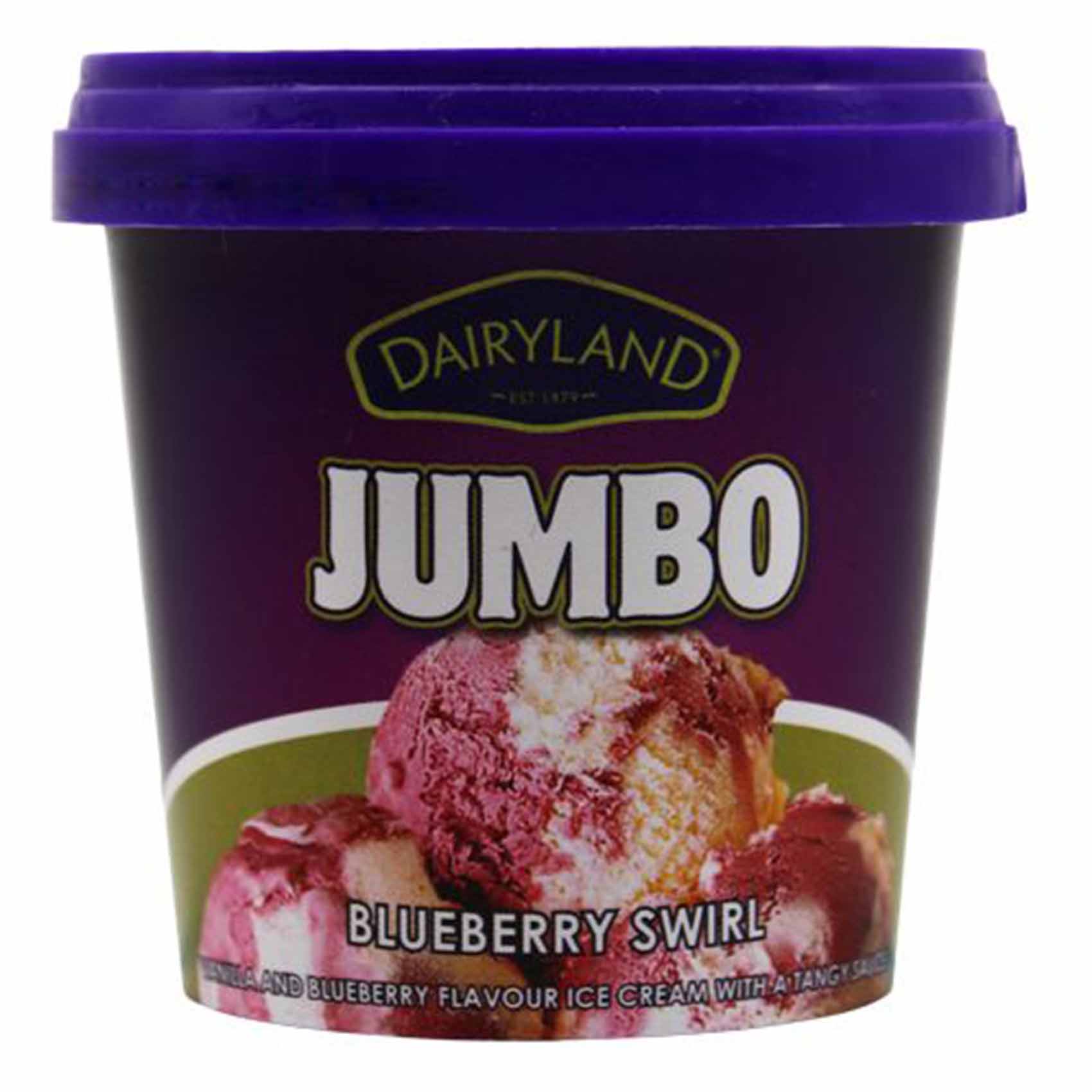 Dairyland Blueberry Swirl Ice Cream Jumbo 175ml