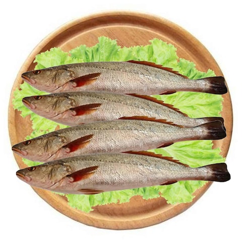 Miskar Fish Per Kg