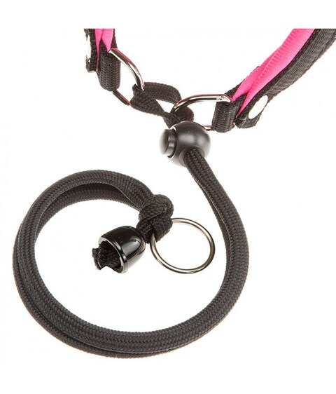 Ferplast AGILA FLUO 1 Harness 26-38cm x 15mm- Color : Pink