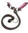 Ferplast AGILA FLUO 1 Harness 26-38cm x 15mm- Color : Pink