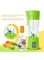 Generic Mini Portable USB Electric Fruit Juicer Zm620900 Green