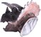 Aiwanto Soft Hand Puppet Rubber Realistic Dinosaur Role Play Toy for Kids and Toddlers