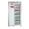 Super General Up-Right Freezer 260L (KSGUF401NFP)
