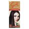 Samsol Hair Color No Ammonia 02 Dark Brown 50 ml
