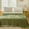 Luna Home 3D Imitation Butterfly Fleece Soft Blanket, Green color.