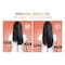 L&#39;Oreal Paris Elvive Dream Long Straight 72H Straightening Keratin Shampoo 400ml And Conditioner 360ml