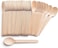 Lavish 50 Pcs Eco-Friendly Everyday Use Bamboo Disposable Wooden Spoons Set