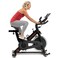 PROFORM SPIN BIKE 500 SPX PFEX03820-INT