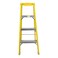 Carrefour Ladder