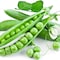Vsell24 Garden Pea Seeds, 3 Packs of 10g Each, Easy Growing NON-GMO Home Garden Seeds With 98% Cleaness, 95% Purity, 85% Germination Rate