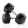 Harley Fitness 17.50KG Rubber Coated Fixed Hex Dumbbell 1 Pair