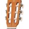 Yamaha GL1 Guitalele Guitar GL1 Brown