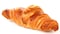 Cheese Croissant