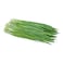 Garlic Chives Bunch