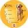 Pedigree Vital Protection Beef and Vegetables Flavour Dry Food for Adult Dog, 3kg
