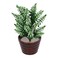 Flower Pot