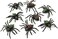 Rubies Bristol Novelty Ak033 Scary Creatures Spiders (8/Pkt)